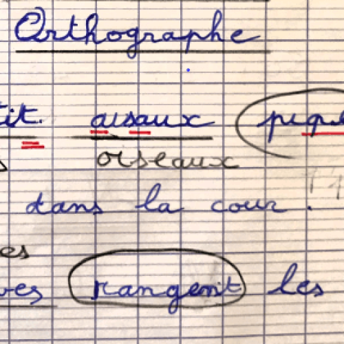 lor écriture difficultés orthographe